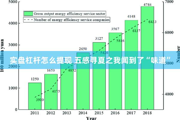 实盘杠杆怎么提现 五感寻夏之我闻到了“味道”