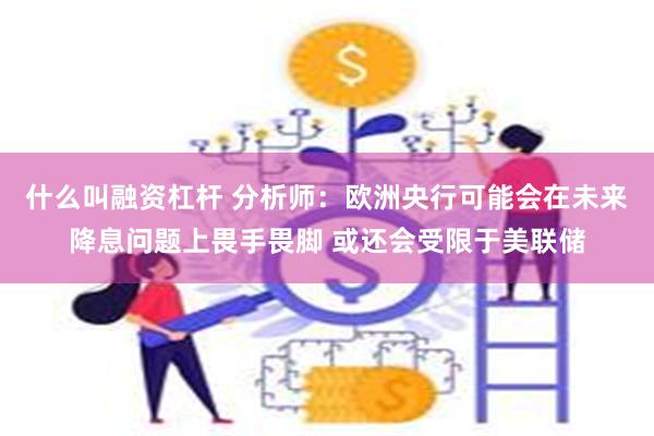 什么叫融资杠杆 分析师：欧洲央行可能会在未来降息问题上畏手畏脚 或还会受限于美联储