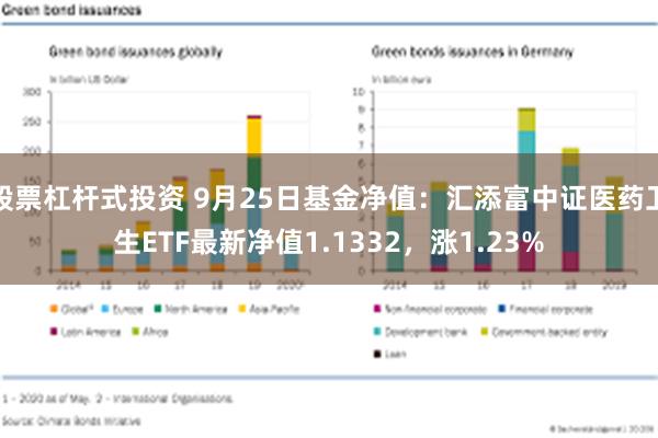 股票杠杆式投资 9月25日基金净值：汇添富中证医药卫生ETF最新净值1.1332，涨1.23%