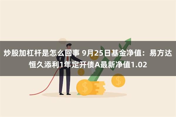 炒股加杠杆是怎么回事 9月25日基金净值：易方达恒久添利1年定开债A最新净值1.02