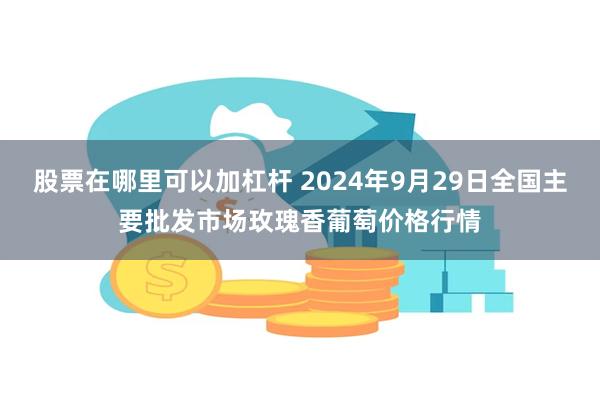 股票在哪里可以加杠杆 2024年9月29日全国主要批发市场玫瑰香葡萄价格行情