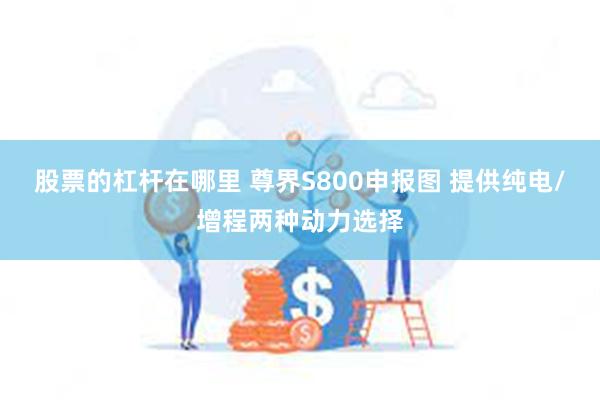 股票的杠杆在哪里 尊界S800申报图 提供纯电/增程两种动力选择