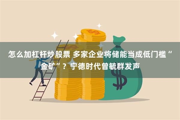 怎么加杠杆炒股票 多家企业将储能当成低门槛“金矿”？宁德时代曾毓群发声