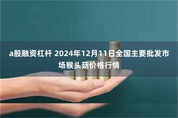 a股融资杠杆 2024年12月11日全国主要批发市场猴头菇价格行情