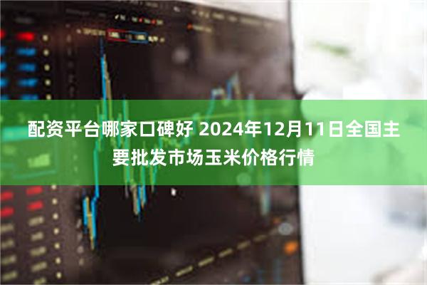 配资平台哪家口碑好 2024年12月11日全国主要批发市场玉米价格行情