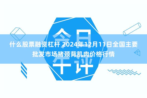 什么股票融资杠杆 2024年12月11日全国主要批发市场猪颈背肌肉价格行情