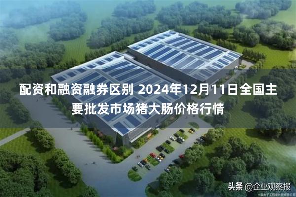 配资和融资融券区别 2024年12月11日全国主要批发市场猪大肠价格行情