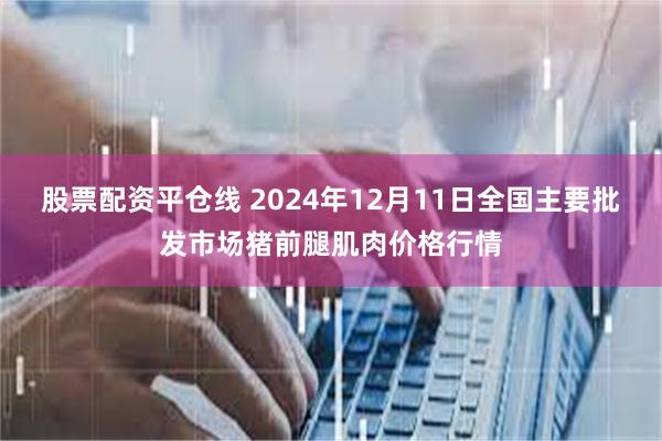 股票配资平仓线 2024年12月11日全国主要批发市场猪前腿肌肉价格行情