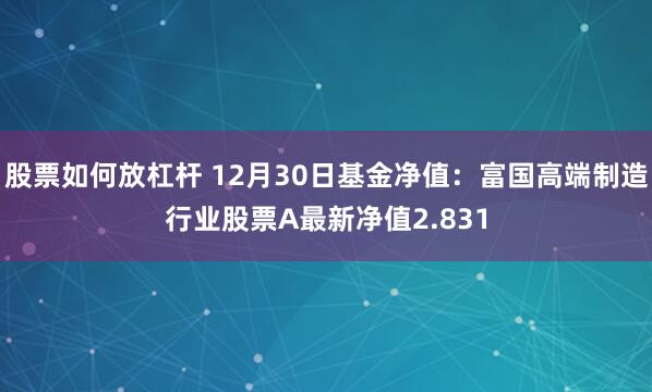 股票如何放杠杆 12月30日基金净值：富国高端制造行业股票A最新净值2.831