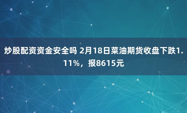 炒股配资资金安全吗 2月18日菜油期货收盘下跌1.11%，报8615元